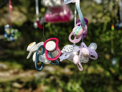 Colourful discarded dummies hanging on a tree, dummy tree, weaning, Sweden