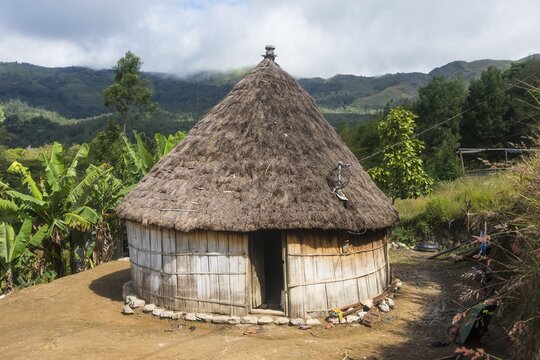 Traditional reed hut with banana plants around in the mountains of Maubisse, East Timor