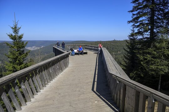 Viewing platform at Ellbachsee, near Baiersbronn, Freudenstadt district, Black Forest, Baden-W&uuml;rttemberg, Germany