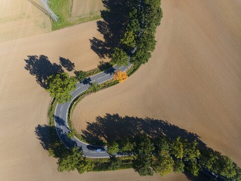 Drone image, curve in autumnal forest, Roter Berg, L485, between Diekholzen and Sibbesse, Hildesheim district, Lower Saxony, Germany