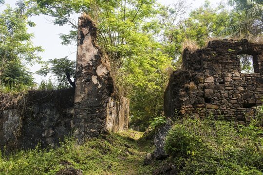 Old ruins on the former sklave colony Bunce island, Sierra Leone