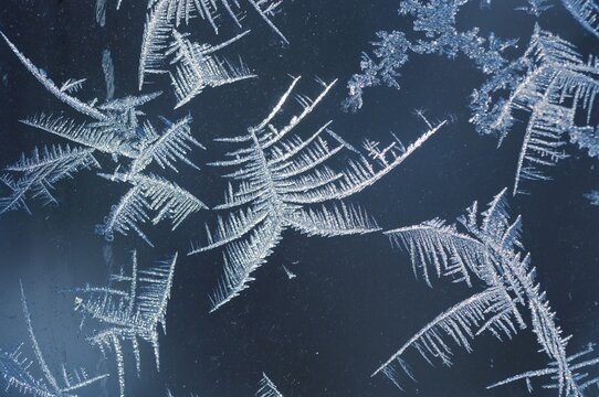 Ice crystals at glass pane
