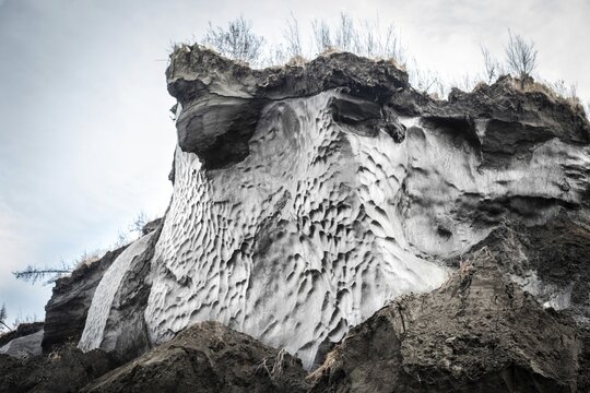 Ice wedge at Duwanni Jar, bank of the Kolyma, the bank breaks off due to thawing permafrost, trees sink, drunken trees, Yakutia, Russia