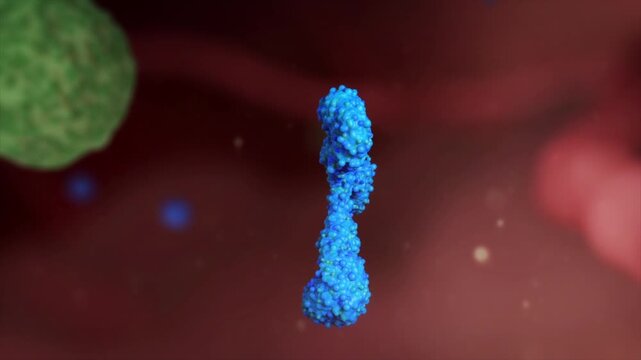 Antibodies activate T cells to kill tumors, cancer cells, and viruses. Drug-activated antibodies bind receptors in the tumor microenvironment, enabling immunotherapy. 3D animation.