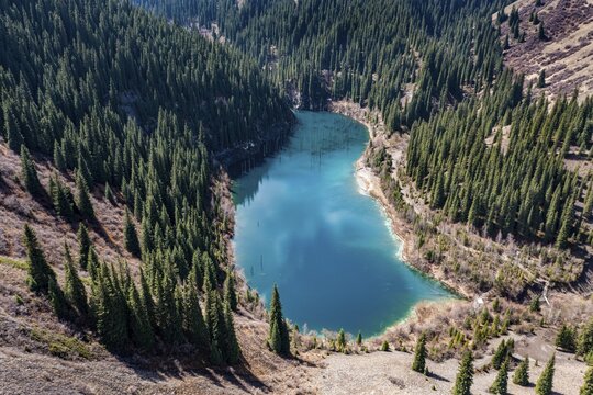 Aerial of the Kaindy lake with its dead trees, Kolsay Lakes National Park, Tian Shan mountains, Kazakhstan