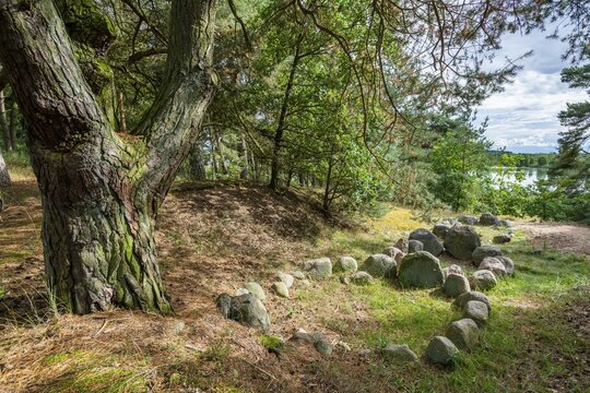 Viking graves in the form of ships, Old camp near Menzlin, Naturpark Flusslandschaft Peenetal, Mecklenburg-Vorpommern, Germany