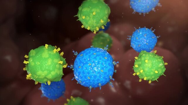 Inhibition of ADCC and ADCP effects prevents immune cells from phagocytosing and killing effector T cells. 3D animation of blocked antibody-dependent cellular cytotoxicity and phagocytosis.