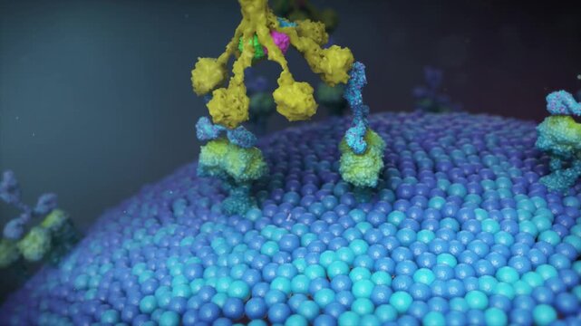 Inhibition of C1q protein prevents complement system activation, thereby enhancing effector T cell-mediated immunity. 3D animation of immune modulation for cancer therapy.
