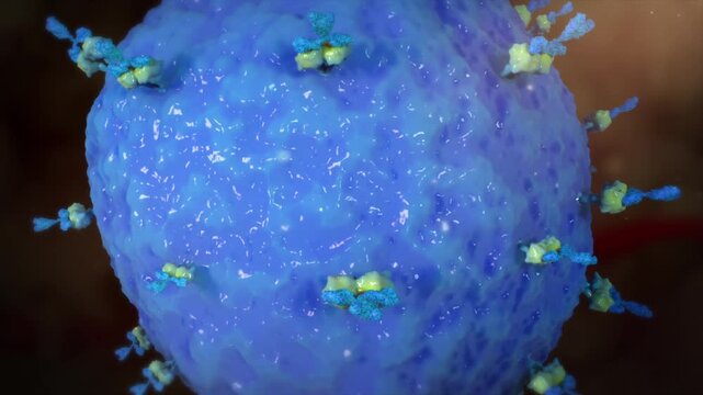 PD-1 monoclonal antibody flies toward effector T cells and binds to their receptors, triggering immunotherapy. 3D animation of targeted immune activation.