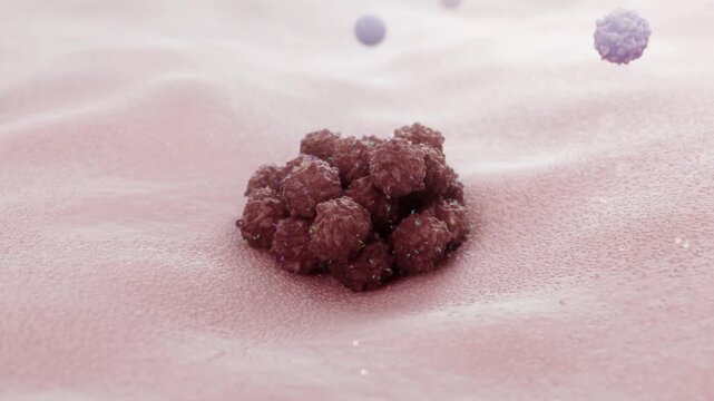 Tumor cells keep dividing. Effector T cells bind to tumor receptors and kill cancer cells. CAR-T therapy and PD-1 immunotherapy visualized in 3D animation.