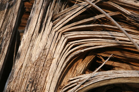 Broken splintered wood