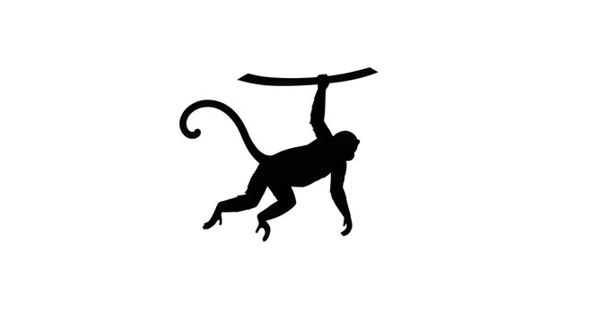 A monkey hangs upside down from a branch in the forest.