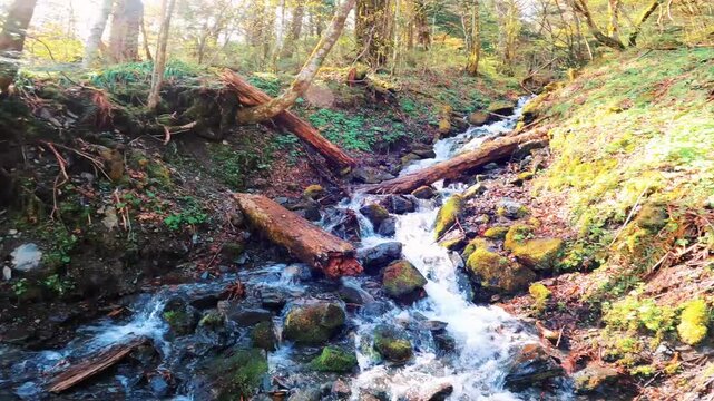 北アルプスの穂高連峰の上高地