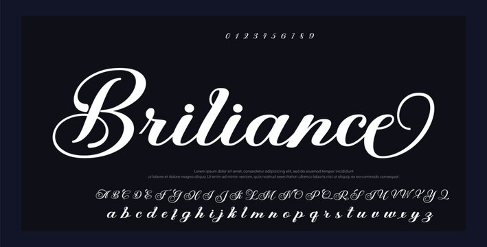 signature Font Calligraphy Logotype Script Brush Font Type Font lettering handwritten