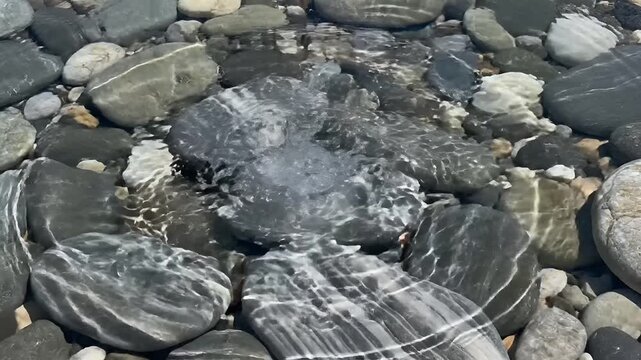 Unique Stone Sculpture Resembling a Face on a Pebble Beach.