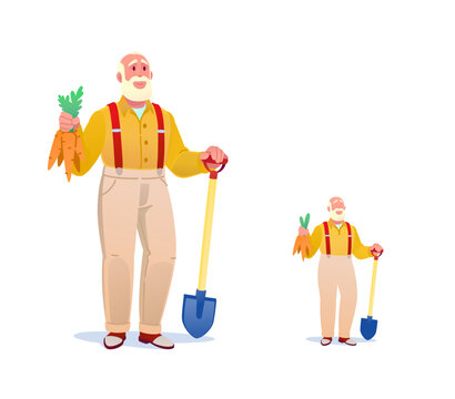 Senior gardener with fresh carrots, cartoon character set. Vector illustration focusing on healthy organic food, local farming, diet, harvesting, senior health, and active lifestyle.