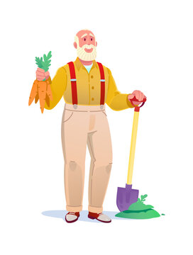 Vector cartoon illustration of a smiling elderly man farmer holding fresh carrots and leaning on a shovel. Perfect for gardening, agriculture, farming, harvesting concepts, and healthy food. 