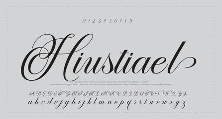 Lettering signature font isolated on grey background. brush style alphabet. Vector logo letters. © why