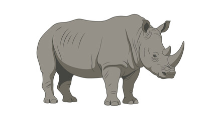 Rhino illustration gray tones with white background and defined linework © Victoria hub