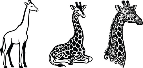 Elegant giraffe silhouette and decorative artistic giraffe illustrations with minimalistic outline and ornamental detailed animal design © MDSHAFIQUL