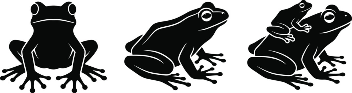 Silhouette illustration of frogs in front view, side profile, and interaction showing posture and natural variation