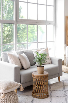 Interior of light living room with grey sofa and coffee table near window