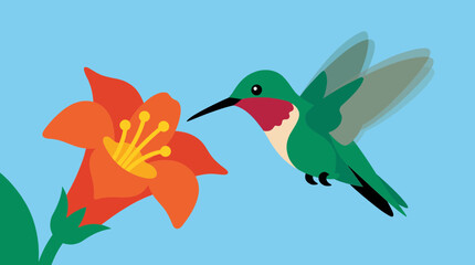 Hummingbird Hovering Near Flower Nectar © Bima