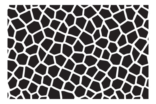 Seamless Giraffe Print Pattern &mdash; Black and White Abstract Animal Skin Texture Background