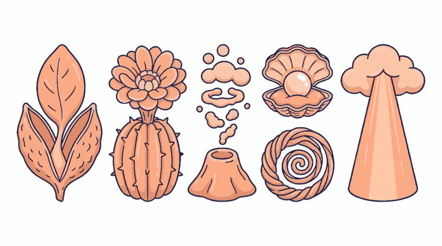 Set of six hand drawn vector icons featuring a seed pod cactus flower volcano pearl in shell spiral shape and a cloud over a mountain peak
