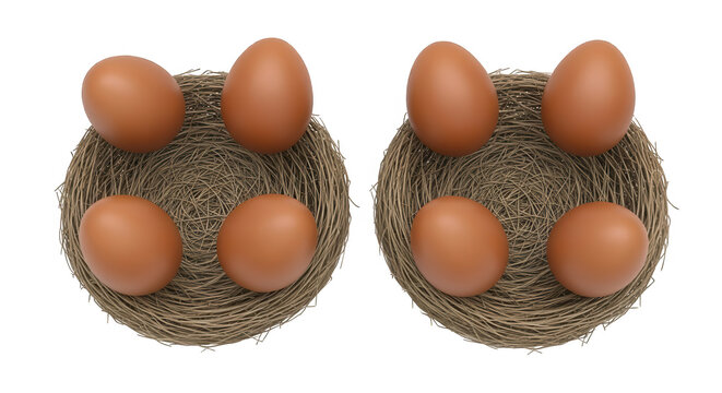 two nests each holding six brown eggs are shown on a white background suggesting concepts like nature food or easter