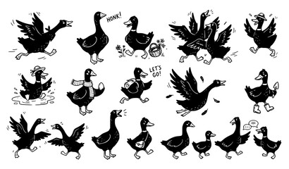 Flying and Walking Duck Bird Silhouette Collection Vector © Madhobe