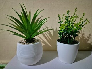 Fototapeta premium Two Decorative Green Potted Plants on White Surface with Soft Indoor Lighting Background. Artificial plants