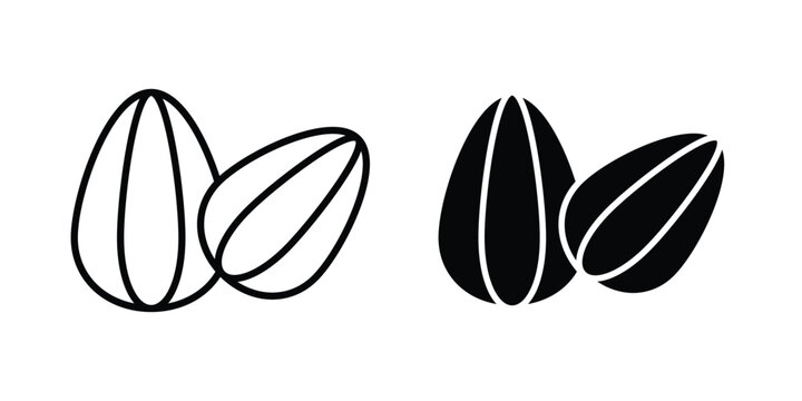 Almond icon graphic design symbols vector illustration
