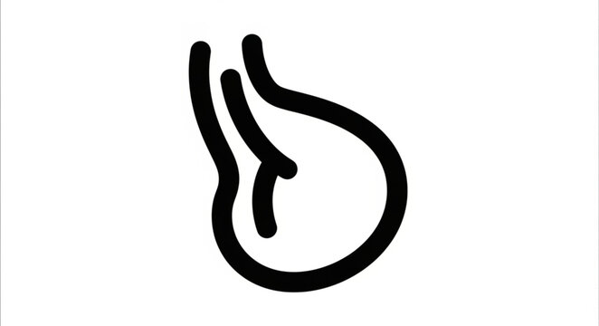 Stylized illustration of a human stomach organ.