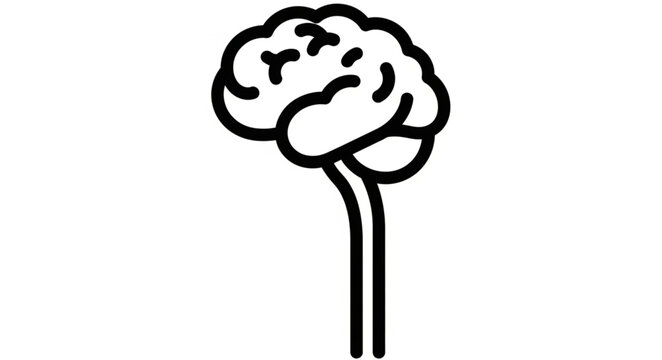 Stylized Line Art Illustration of Human Brain and Brainstem.