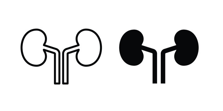 Kidney icon graphic design symbols vector illustration