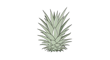 Fototapeta premium Agave plant silhouette on black background
