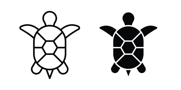 Sea turtle icon graphic design symbols vector illustration