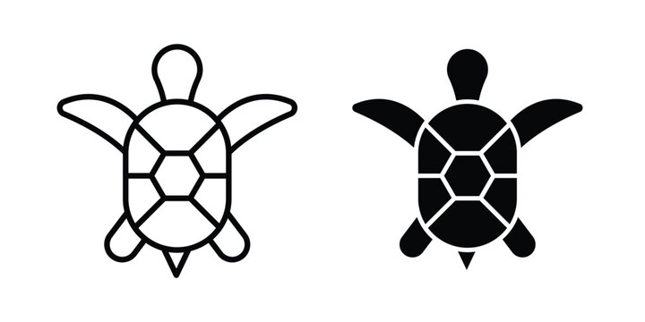 Tortoise icon graphic design symbols vector illustration