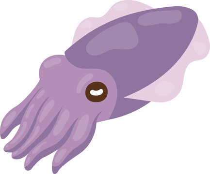 Cute purple cuttlefish character illustration