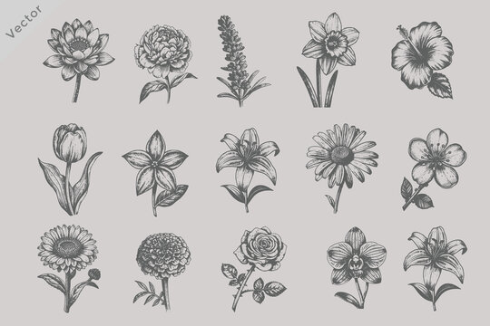 Retro Engraved Flower Bundle Vector Illustration Featuring Rose Sunflower Lotus Orchid Hibiscus Lavender Tulip and Peony Floral Artwork for T Shirt Pattern and Decorative Design Collections