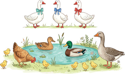 Cute farm birds set with ducks geese chicken and little chicks swimming in pond vector illustration © MdRobiul