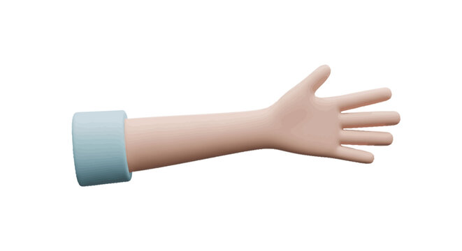 Human arm with rolled sleeve.