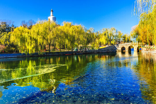 Bridge Willows Buddhist White Stupa Beihai Lake Park Beijing China