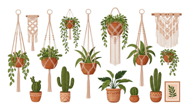 Bohemian macrame plant hanger flat vector illustration style
