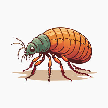 Cartoon Flea Illustration