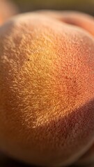 Fototapeta premium Soft Velvety Peach Fuzz Texture