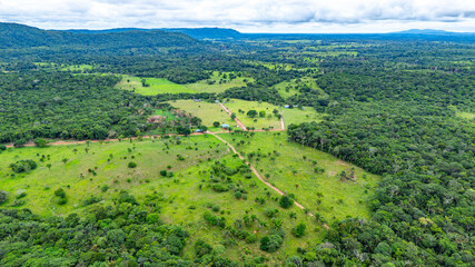 Obraz premium Aerial view showcasing lush greenery and scattered paths in the vast landscapes of Cerro Azul, Guaviare, reflecting the rich biodiversity of Colombia.