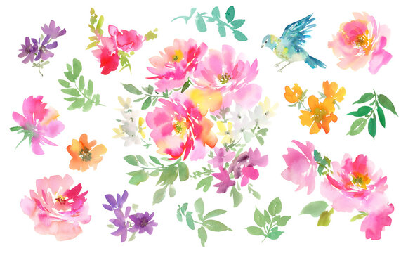 Watercolor floral PNG clipart set with abstract hand painted pink roses, wild flowers and little bird for greeting card, stationary, pattern and surface design.