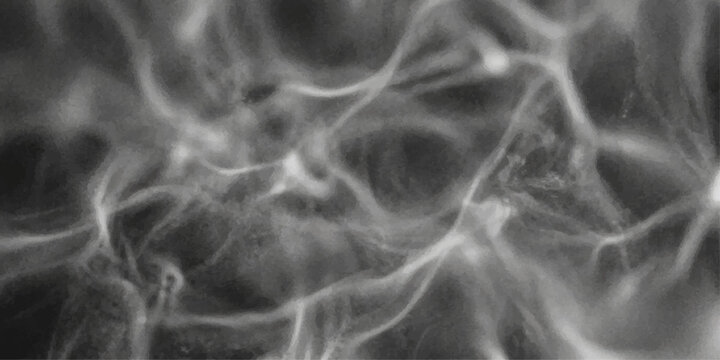 Abstract smoke-like wisps intertwine and flow, creating an ethereal and dynamic visual texture.